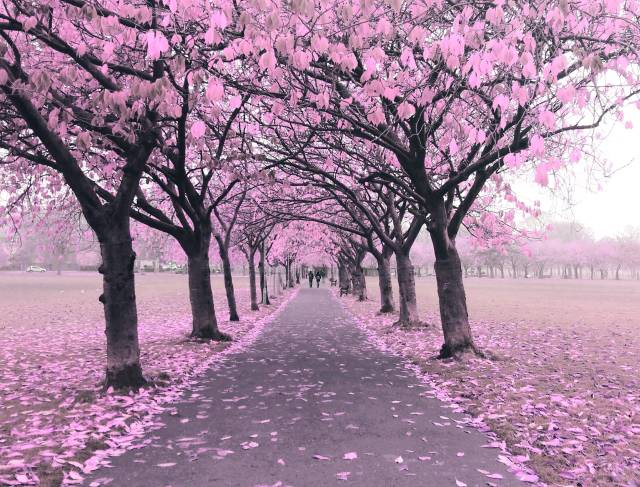 morning picdump 50 pics 4.html - 50 HD Photos | Premium Gallery 2018