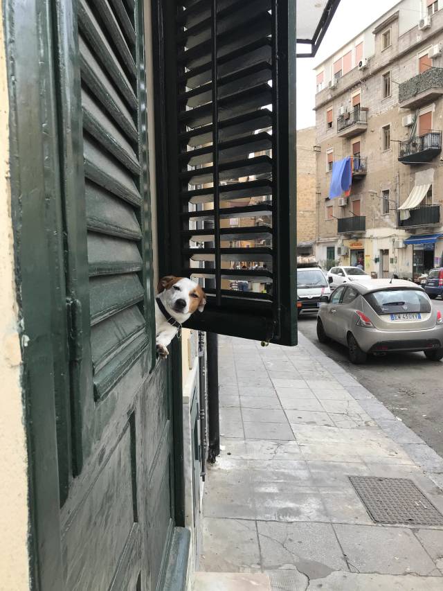 morning picdump 50 pics 4.html - 50 HD Photos | Premium Gallery 2018