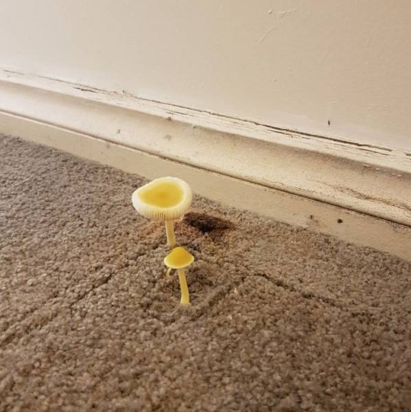 Daily Picdump [WEEKEND EDITION]