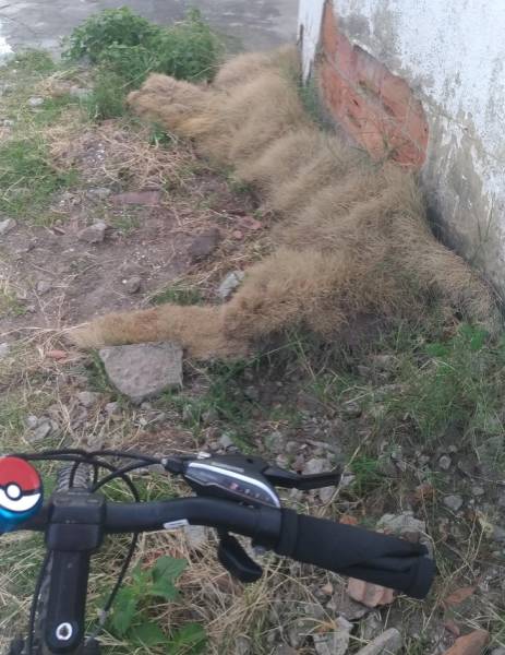 Daily Picdump [WEEKEND EDITION]