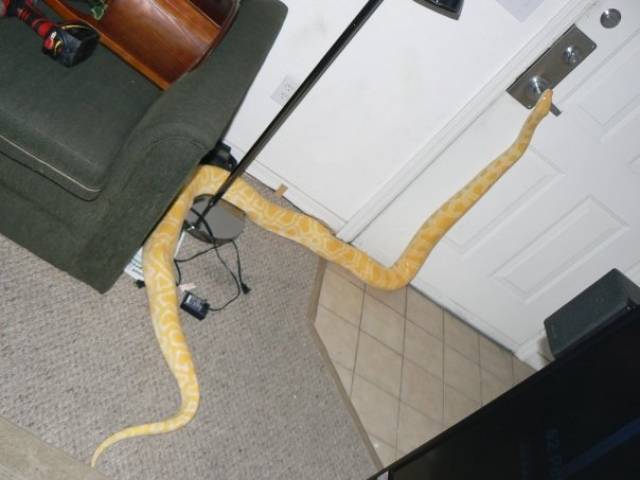 daily picdump weekend edition 50 pics 16.html - 50 HD Photos | Premium Gallery 2018