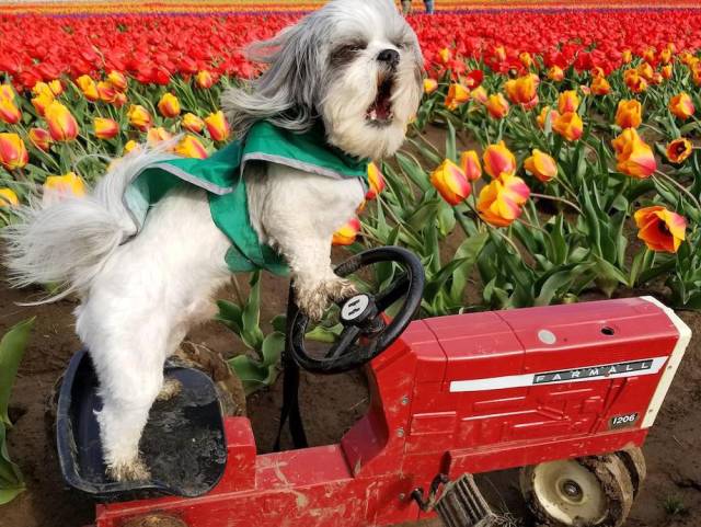 daily picdump weekend edition 50 pics 16.html - 50 HD Photos | Premium Gallery 2018