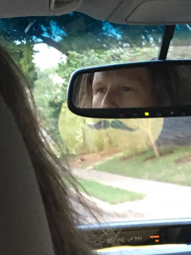 daily picdump weekend edition 50 pics 16.html - 50 HD Photos | Premium Gallery 2018