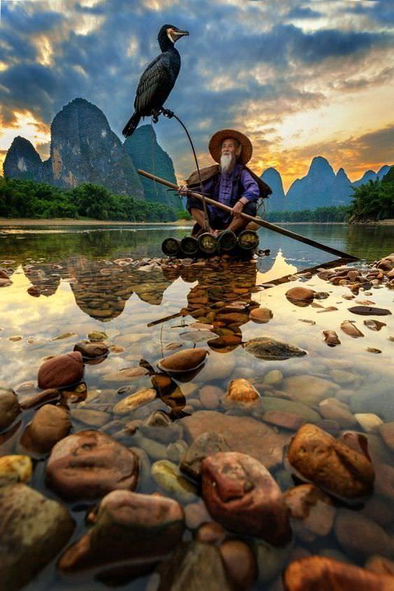 daily picdump weekend edition 50 pics 16.html - 50 HD Photos | Premium Gallery 2018