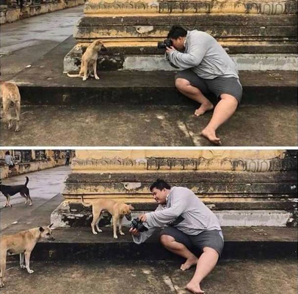 daily picdump 98 pics 49.html - 98 HD Photos | Premium Gallery 2018