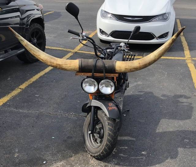 daily picdump 98 pics 49.html - 98 HD Photos | Premium Gallery 2018