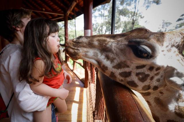 daily picdump 98 pics 49.html - 98 HD Photos | Premium Gallery 2018