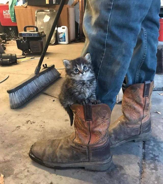 daily picdump 98 pics 49.html - 98 HD Photos | Premium Gallery 2018