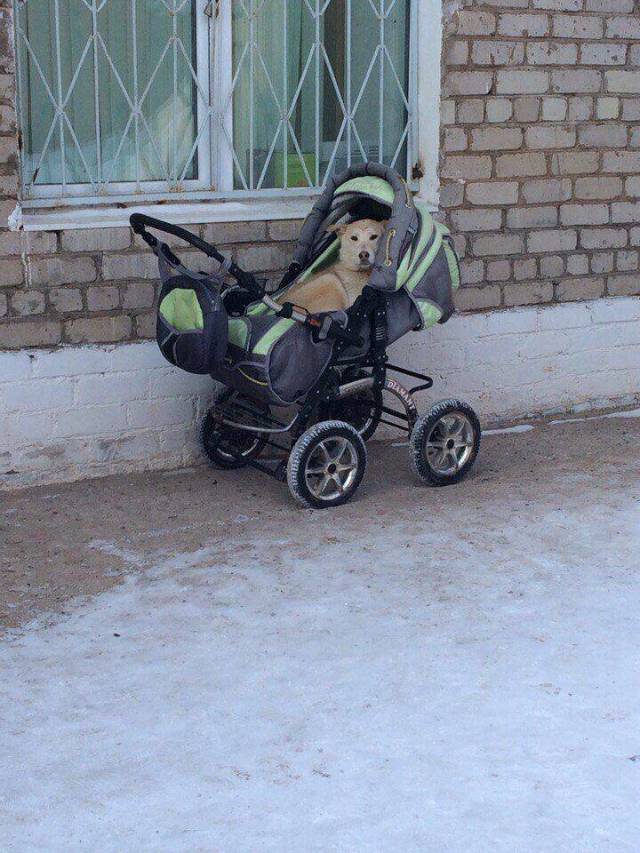 daily picdump 98 pics 49.html - 98 HD Photos | Premium Gallery 2018