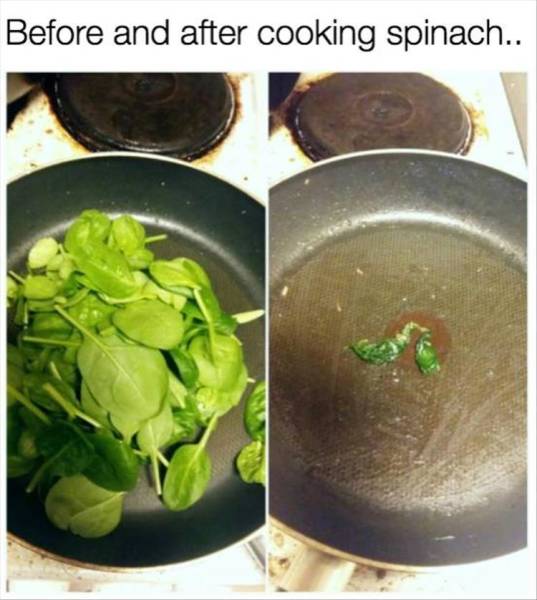 funny picdump 54 pics 8.html - 54 HD Photos | Premium Gallery 2018