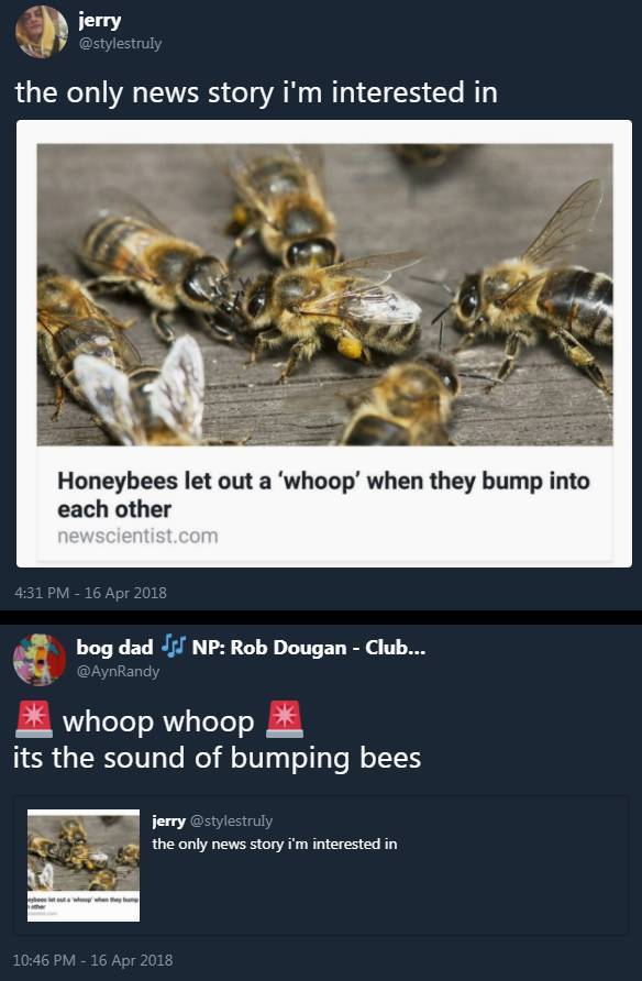 funny picdump 54 pics 8.html - 54 HD Photos | Premium Gallery 2018