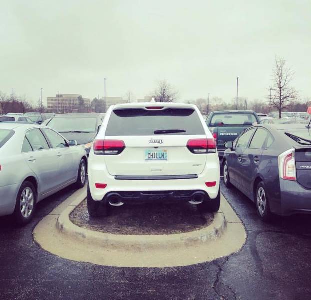 morning picdump 52 pics 8.html - 52 HD Photos | Premium Gallery 2018