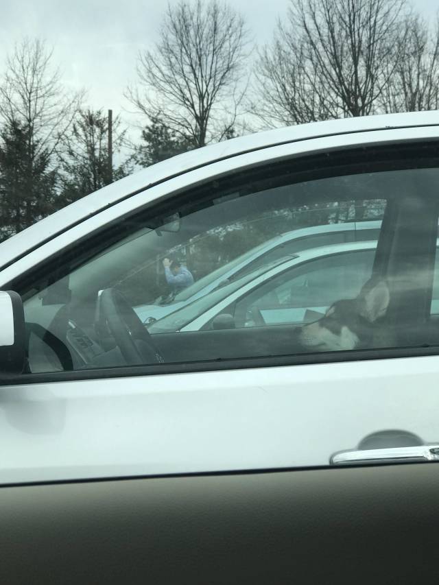 morning picdump 52 pics 8.html - 52 HD Photos | Premium Gallery 2018