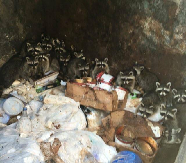 daily picdump 103 pics 16.html - 103 HD Photos | Premium Gallery 2018