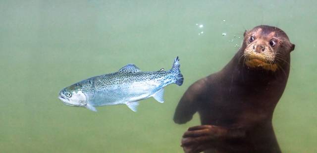 daily picdump 103 pics 16.html - 103 HD Photos | Premium Gallery 2018