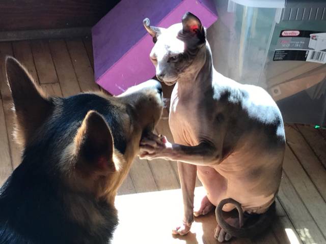 daily picdump 103 pics 16.html - 103 HD Photos | Premium Gallery 2018