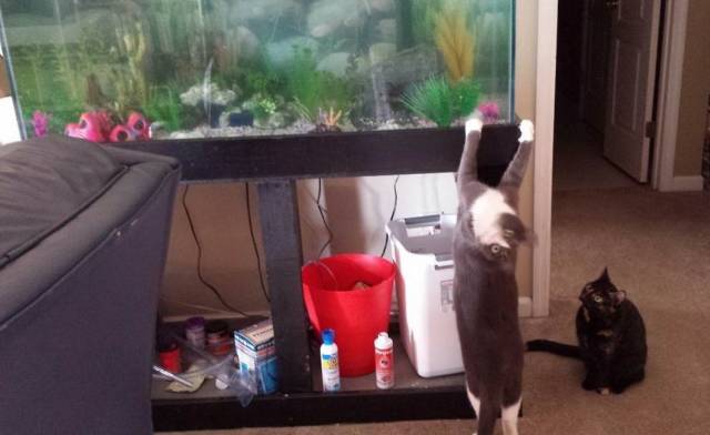 daily picdump 103 pics 16.html - 103 HD Photos | Premium Gallery 2018