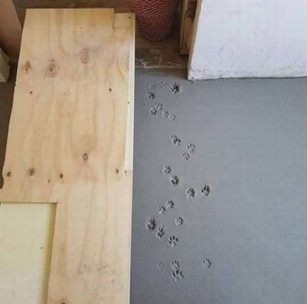 daily picdump 103 pics 16.html - 103 HD Photos | Premium Gallery 2018