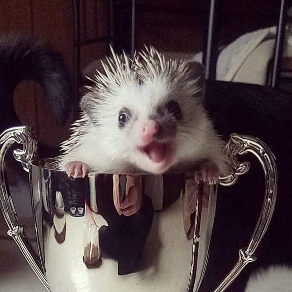 daily picdump 103 pics 16.html - 103 HD Photos | Premium Gallery 2018