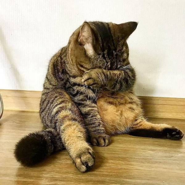 daily picdump 103 pics 16.html - 103 HD Photos | Premium Gallery 2018