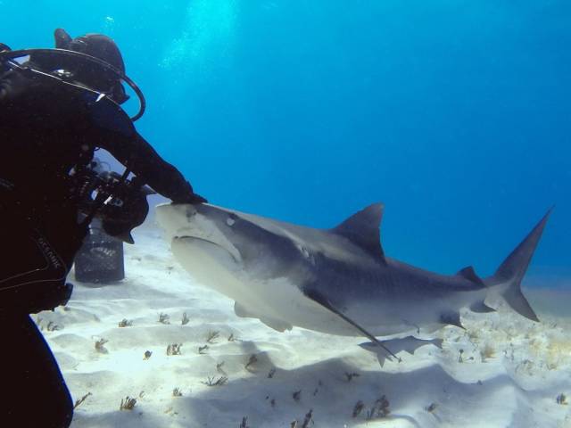 daily picdump 103 pics 16.html - 103 HD Photos | Premium Gallery 2018