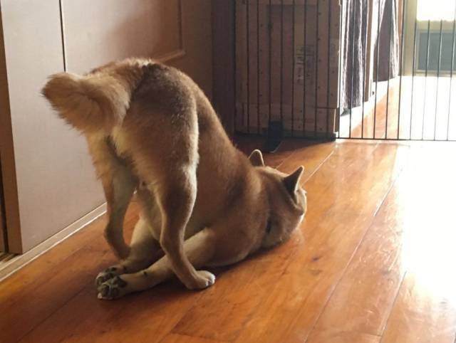 daily picdump 103 pics 16.html - 103 HD Photos | Premium Gallery 2018