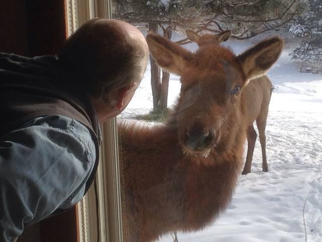 daily picdump 103 pics 16.html - 103 HD Photos | Premium Gallery 2018