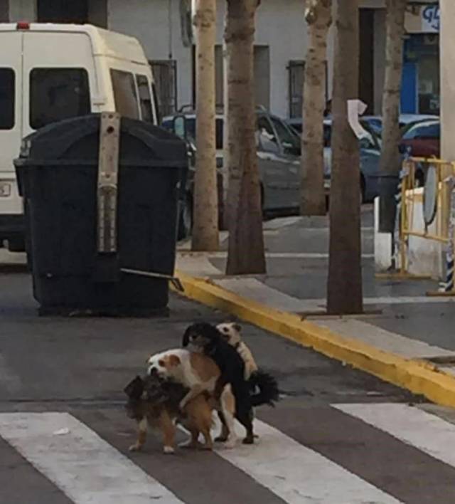 daily picdump 103 pics 16.html - 103 HD Photos | Premium Gallery 2018