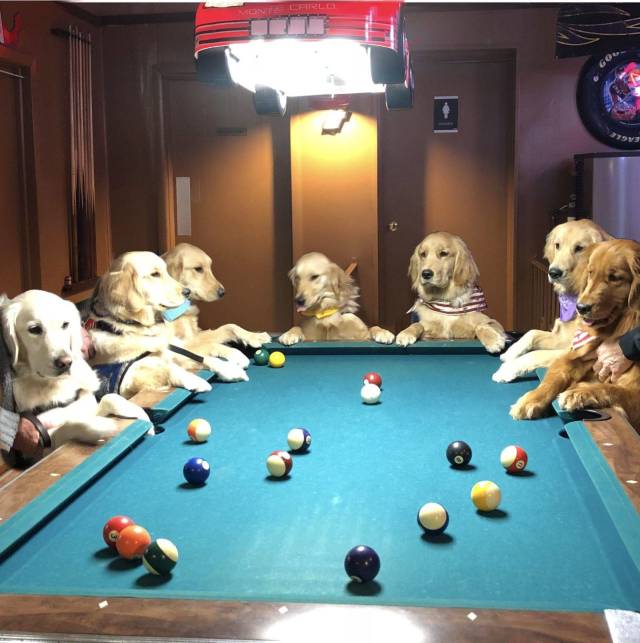 daily picdump 103 pics 16.html - 103 HD Photos | Premium Gallery 2018