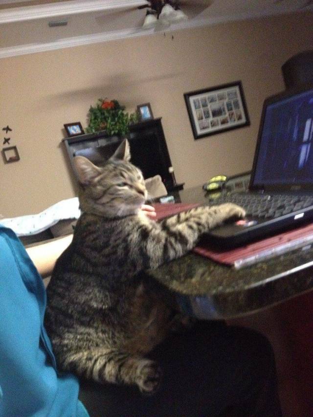 daily picdump 103 pics 16.html - 103 HD Photos | Premium Gallery 2018