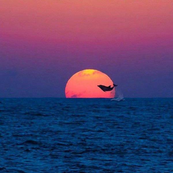 morning picdump 50 pics 18.html - 50 HD Photos | Premium Gallery 2018