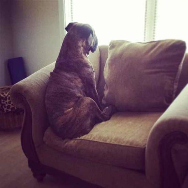 morning picdump 50 pics 18.html - 50 HD Photos | Premium Gallery 2018