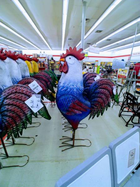 morning picdump 50 pics 18.html - 50 HD Photos | Premium Gallery 2018