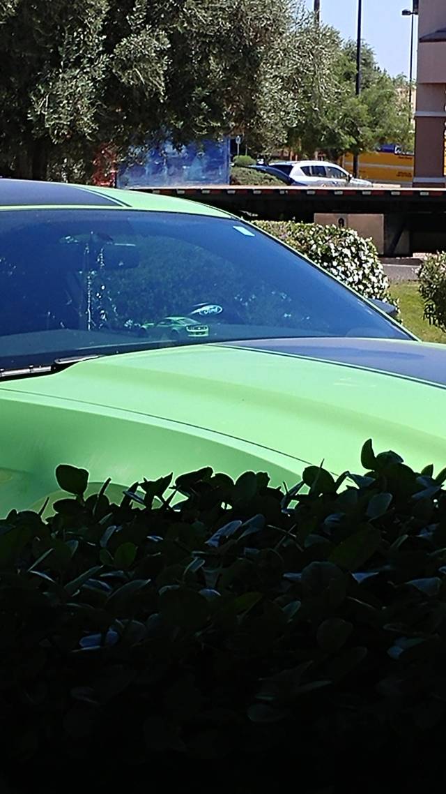 morning picdump 50 pics 18.html - 50 HD Photos | Premium Gallery 2018