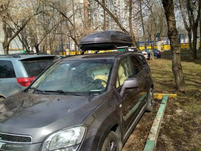 daily picdump 111 pics 3.html - 111 HD Photos | Premium Gallery 2018