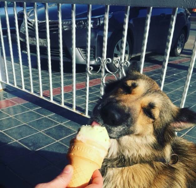 daily picdump 111 pics 3.html - 111 HD Photos | Premium Gallery 2018