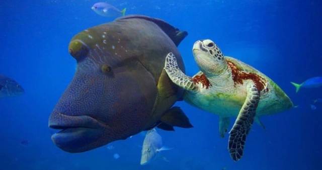 daily picdump 111 pics 3.html - 111 HD Photos | Premium Gallery 2018