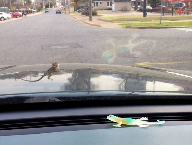 daily picdump 111 pics 3.html - 111 HD Photos | Premium Gallery 2018