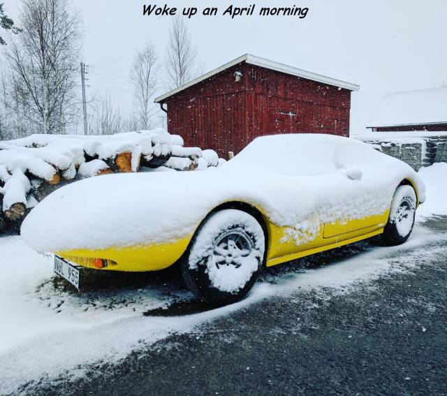 daily picdump 111 pics 3.html - 111 HD Photos | Premium Gallery 2018