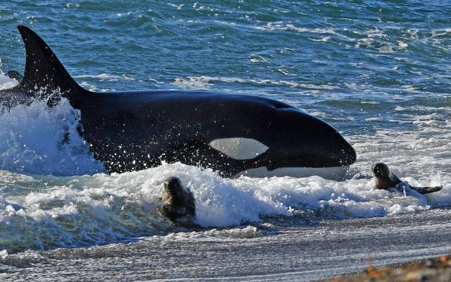 daily picdump 111 pics 3.html - 111 HD Photos | Premium Gallery 2018