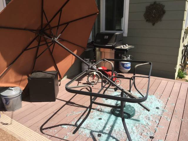 daily picdump 111 pics 3.html - 111 HD Photos | Premium Gallery 2018