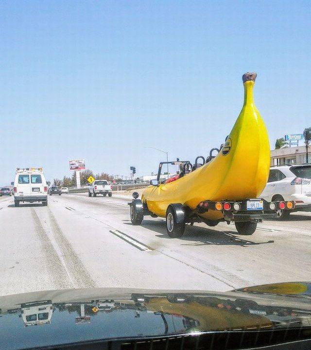 daily picdump 111 pics 3.html - 111 HD Photos | Premium Gallery 2018