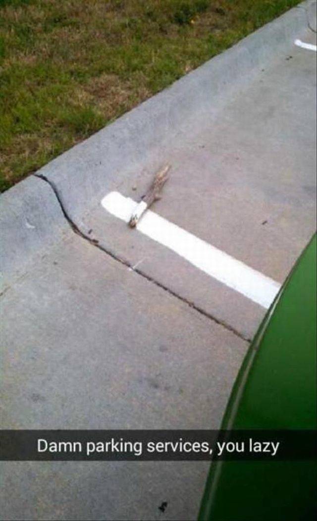 daily picdump 111 pics 3.html - 111 HD Photos | Premium Gallery 2018