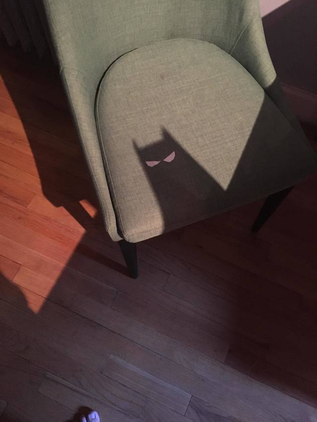 morning picdump 51 pics 3.html - 51 HD Photos | Premium Gallery 2018