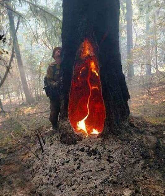 morning picdump 51 pics 3.html - 51 HD Photos | Premium Gallery 2018