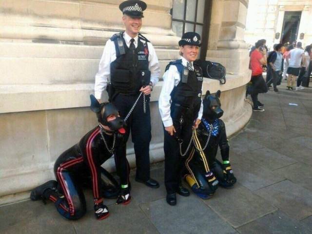 Morning Picdump
