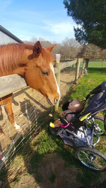 morning picdump 51 pics 2.html - 51 HD Photos | Premium Gallery 2018