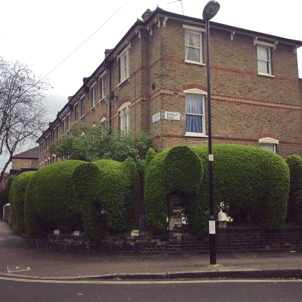 morning picdump 51 pics 2.html - 51 HD Photos | Premium Gallery 2018