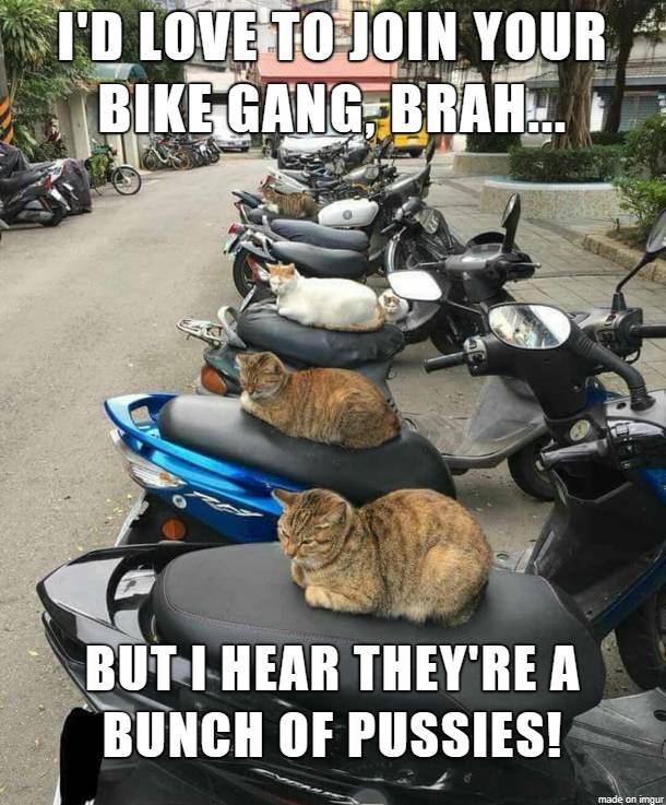 morning picdump 51 pics 2.html - 51 HD Photos | Premium Gallery 2018