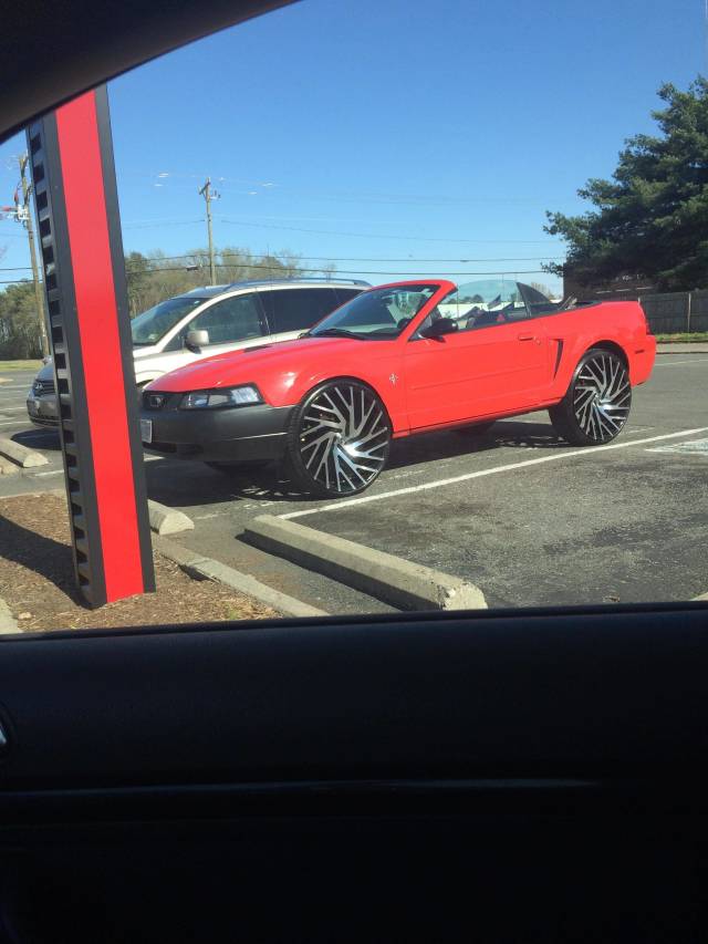 morning picdump 51 pics 2.html - 51 HD Photos | Premium Gallery 2018